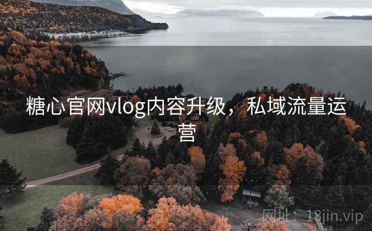 糖心官网vlog内容升级，私域流量运营
